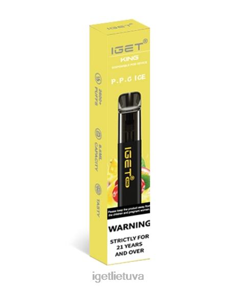 IGET Online karalių 2XH86113 ppc ledas