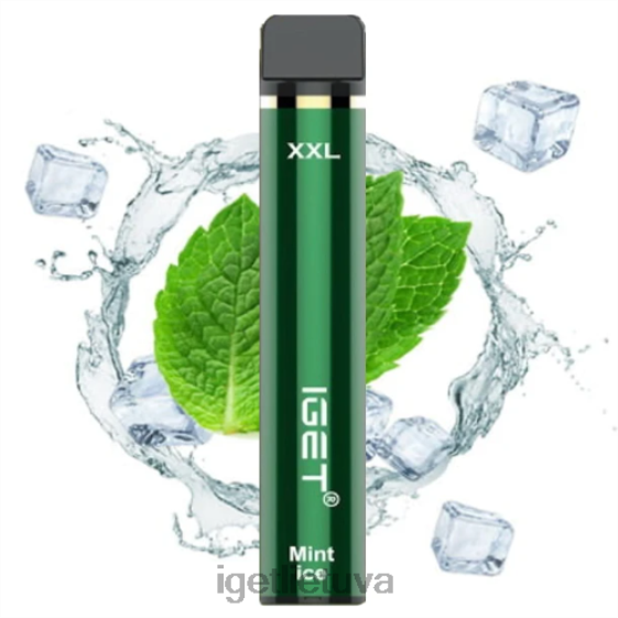 IGET Vape Flavours xxl - 1800 išpūtimų 2XH86442 mėtų ledų