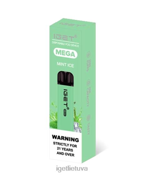 IGET Vape mega 2XH86134 mėtų ledų