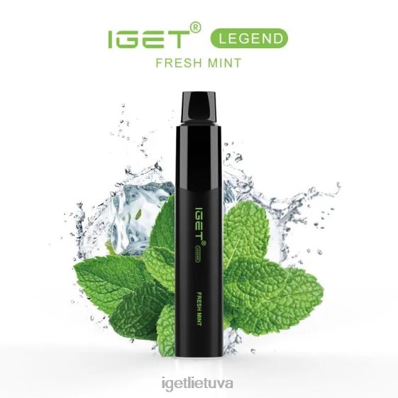 IGET Buy legenda - 4000 pūtimų 2XH86565 šviežių mėtų ledukų
