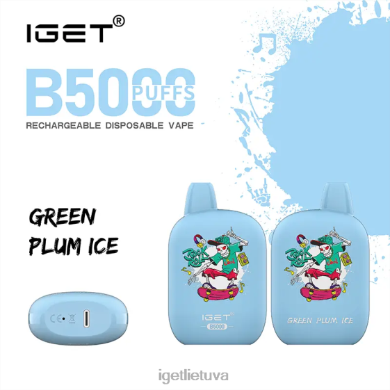 IGET Cheapest Vape B5000 2XH86311 žalių slyvų ledas