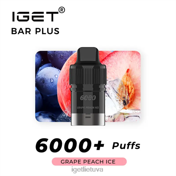 IGET Bar Online bar plus pod 6000 įkvėpimų 2XH86254 vynuogių persikų lce